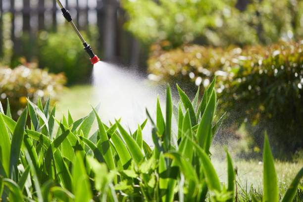 24/7 Emergency Ant Control experts in Pine Manor, FL