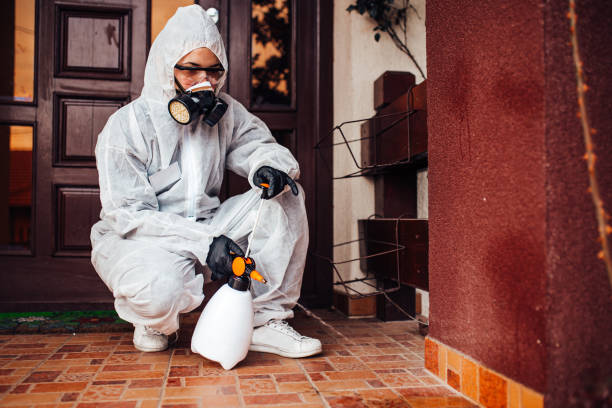 Reliable Ant Control contractor in Pine Manor, FL by Show Me Pest Control